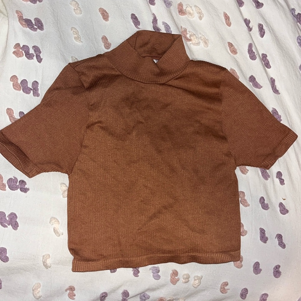 Anthropology brown crop top